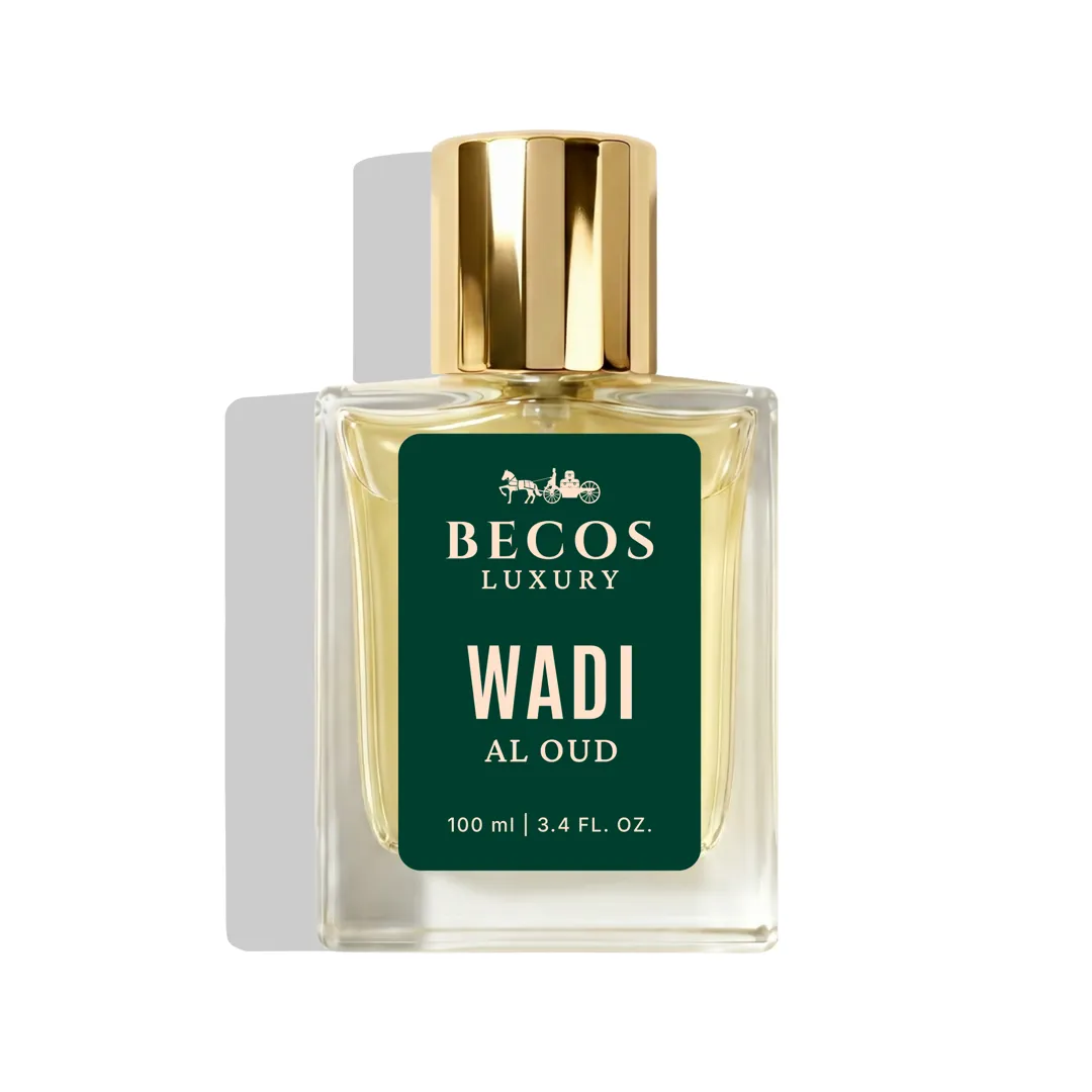 Wadi Al Oud